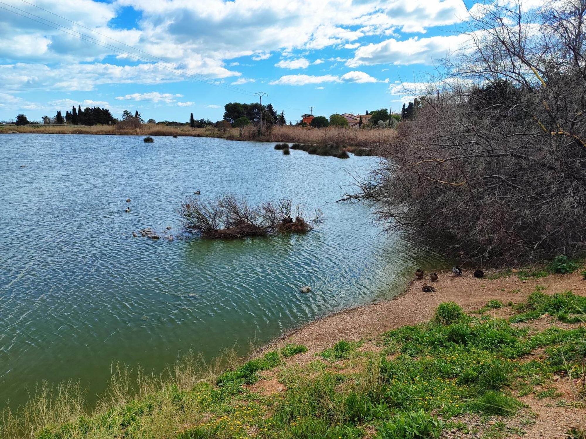 Mobilhome Au Camping Les Salins De La Gardiole Ex Camping Europe Вик-ла-Гардьоль Экстерьер фото