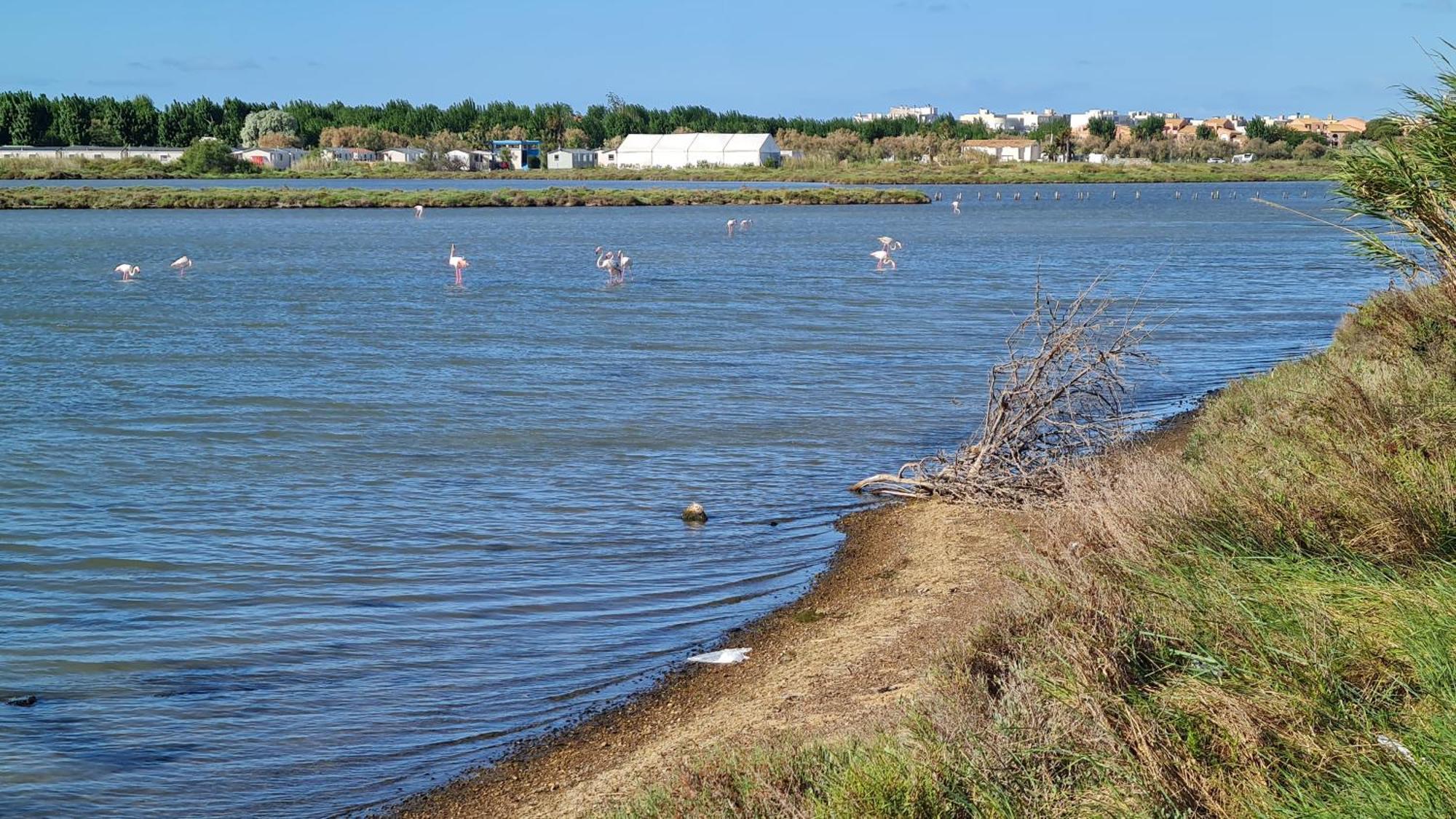 Mobilhome Au Camping Les Salins De La Gardiole Ex Camping Europe Вик-ла-Гардьоль Экстерьер фото